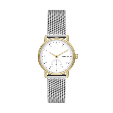 Reloj Skagen Kuppel Lille Acero Plata SKW3101 0