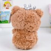 Peluche De Osito Con Corona - 26cm Peluche De Osito Con Corona - 26cm