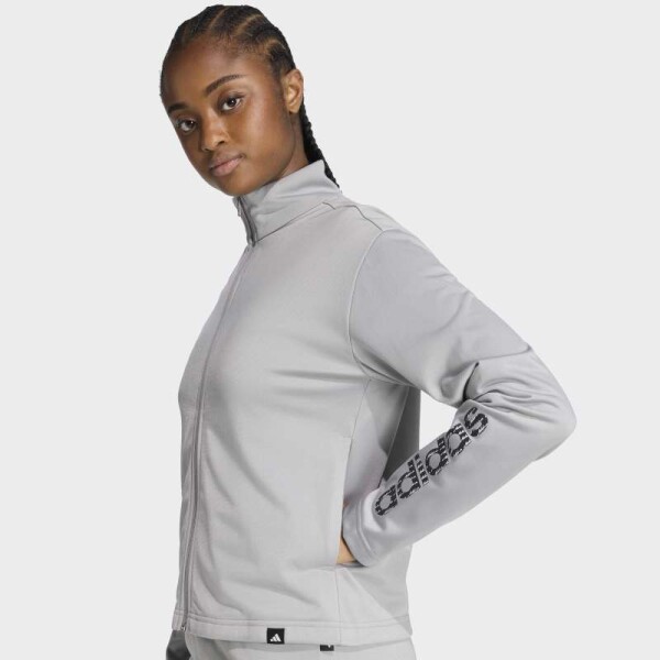 Conjunto Adidas Essentials Big Linear Gris