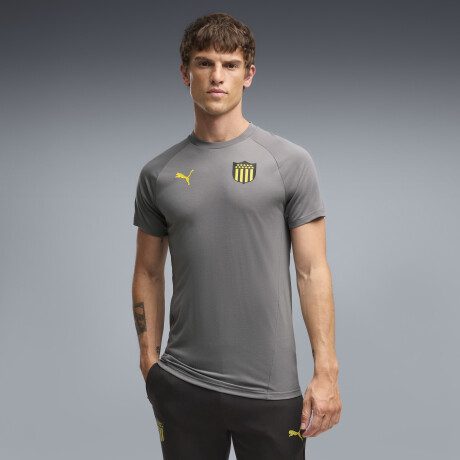 CAP Tee 78653305 Gris