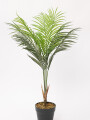 Planta Palmera Areca 80cm Color Unico