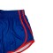 Short Handball The Anglo School Blue