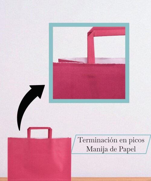 Bolsa lisa acuario 30x12x32 cm FUCSIA