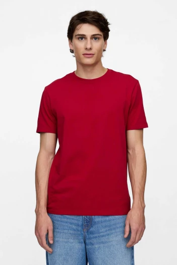 Remera Básica Cuello Redondo Hombre Sled