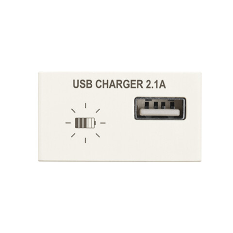 Módulo cargador USB 2,1A - Presta marfil C51624