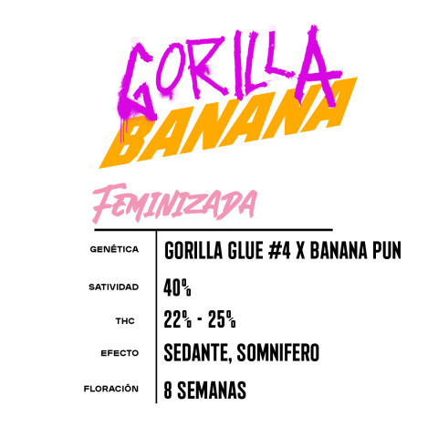 FEM - GORILLA BANANA X7 UNIDADES