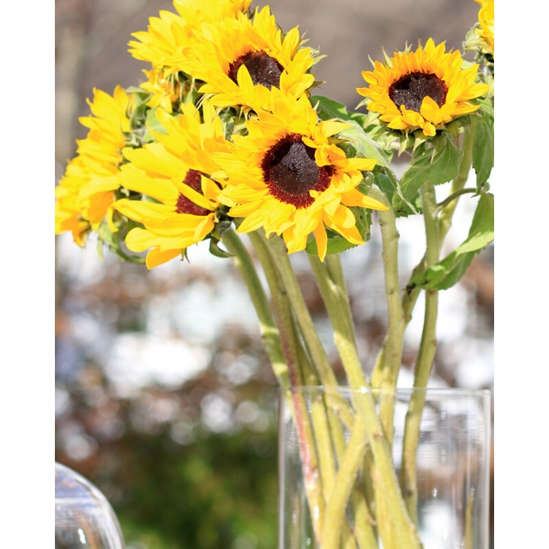 Perfume Elizabeth Arden Sunflowers 100ml Perfume Elizabeth Arden Sunflowers 100ml