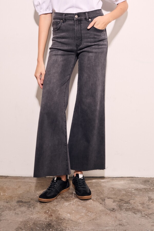 Jean Flared Wide Leg Denim Gris