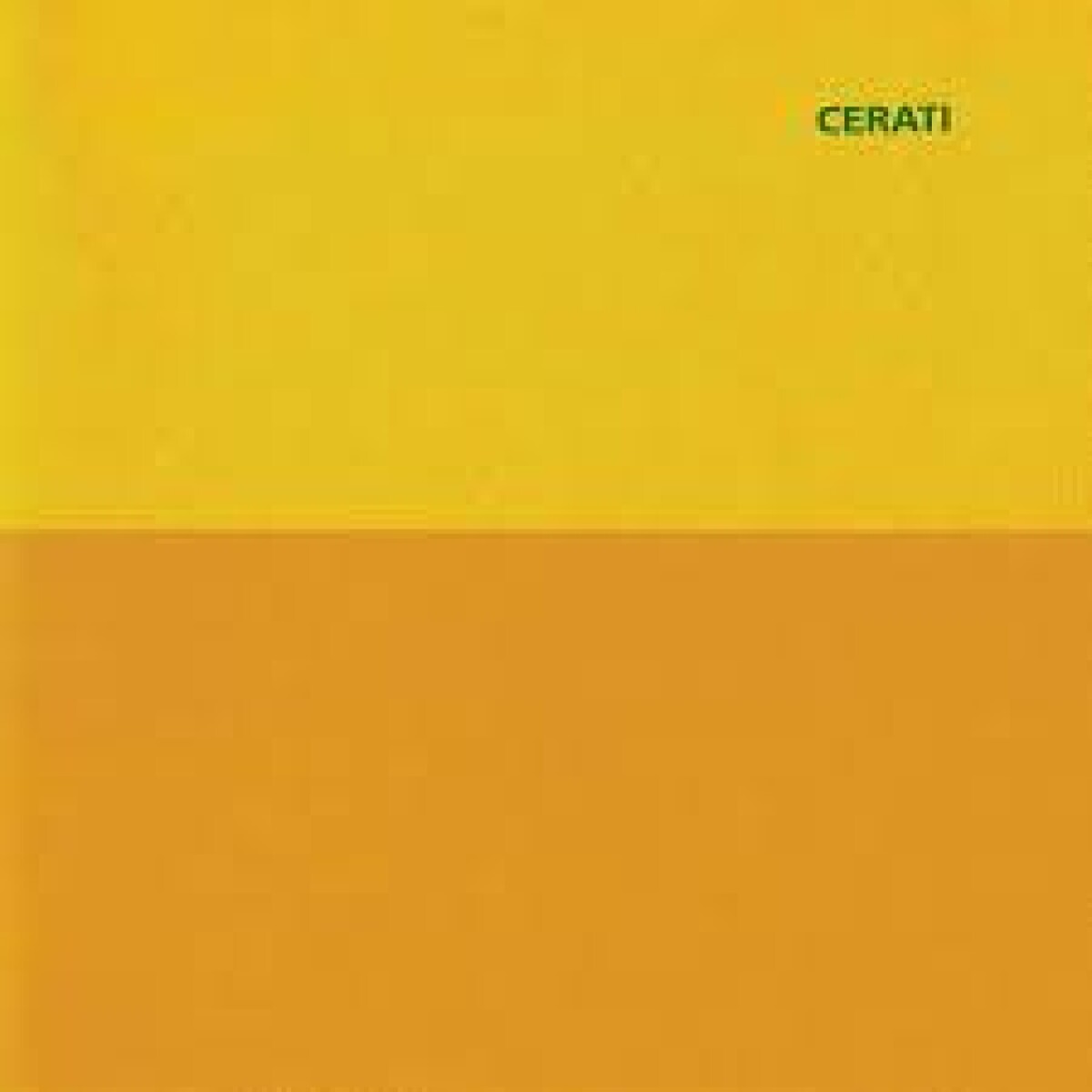 Gustavo Cerati - Amor Amarillo - Cd 