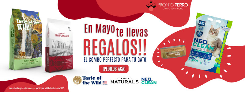 Promo Mayo (chico 1)