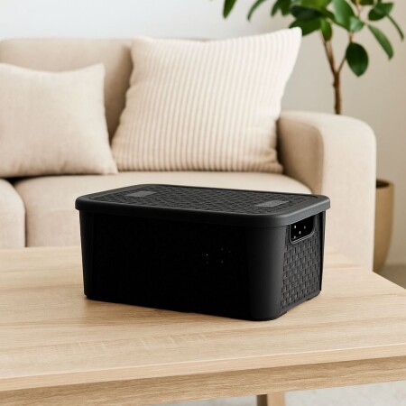 CAJA ORGANIZADORA SIMIL RATTAN PLASNEW N1 NEGRO 5.8LTS CAJA ORGANIZADORA SIMIL RATTAN PLASNEW N1 NEGRO 5.8LTS