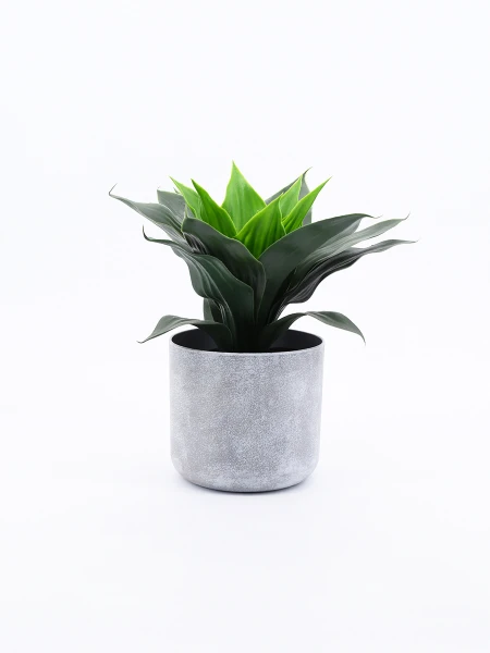 PLANTA CON MACETA VERDE