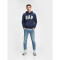 XLS FT ARCH PO HD TAPESTRY NAVY