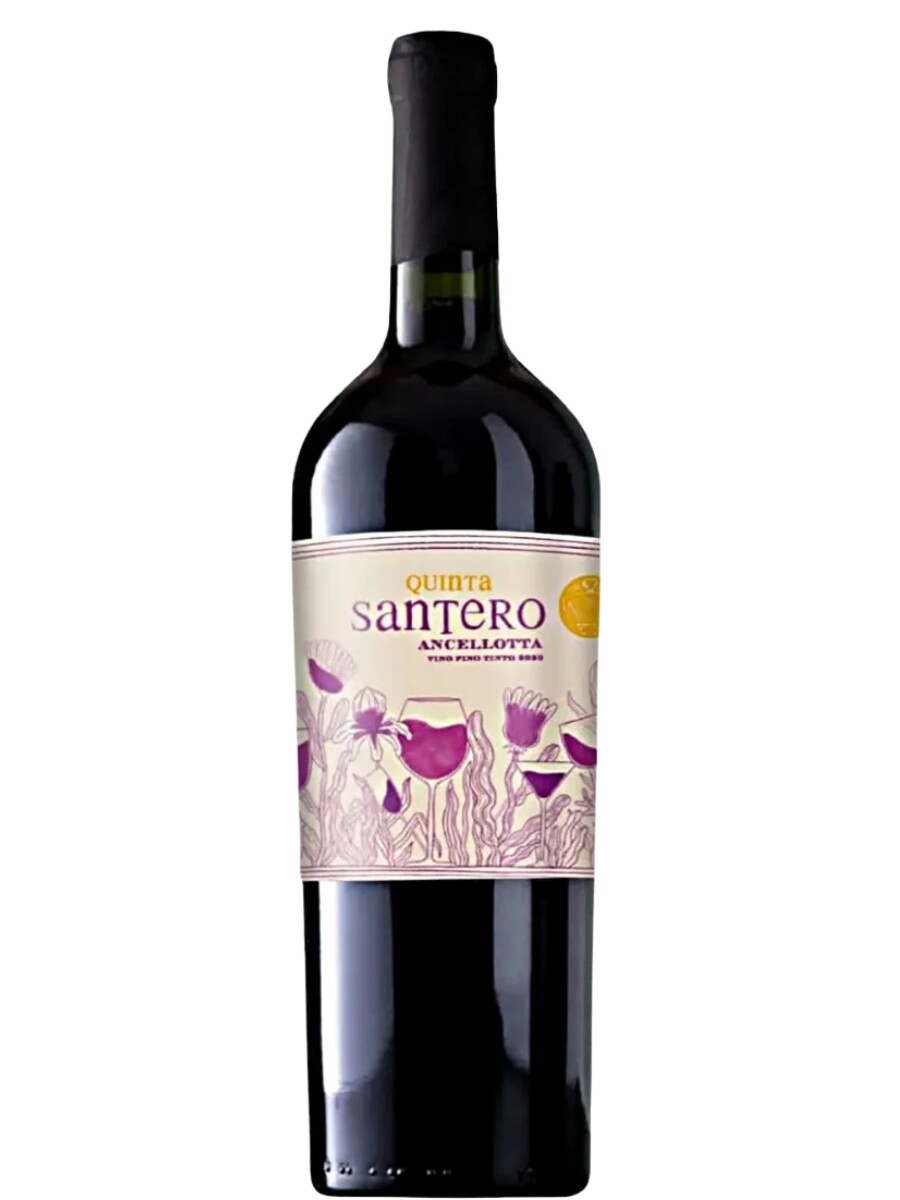 Quinta santero Ancelotta Tinto 