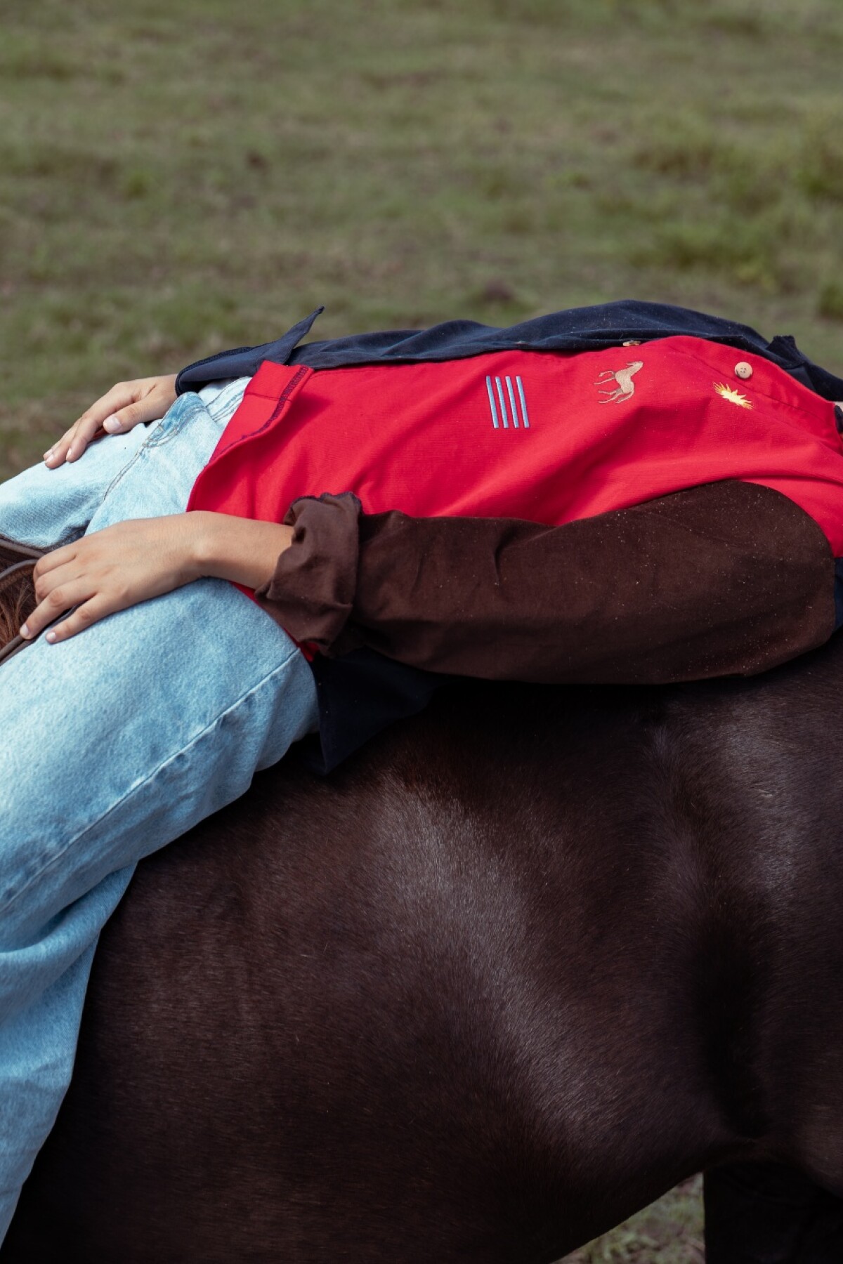 Vintage Charrúa Colorado / Azul Marino