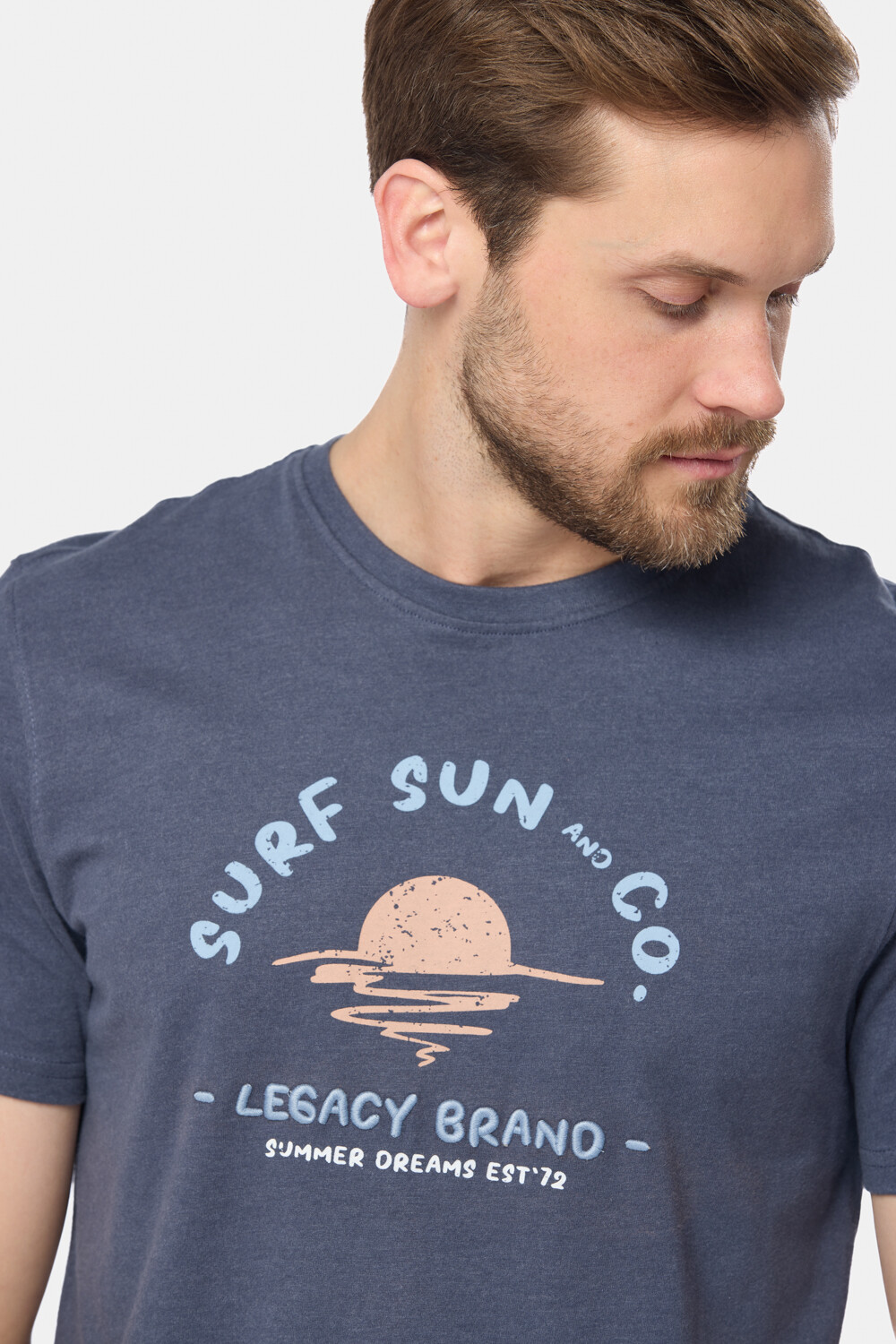 REMERA ESTAMPADA Azul