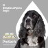 PROTECH PIPETA ANTIPULGAS Y GARRAPATAS CON ACCIÓN AMBIENTAL PARA PERROS DE 11 A 25 KG
