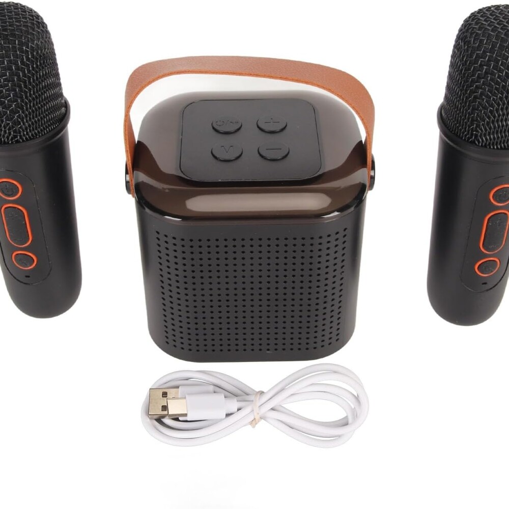 Mini Parlante Inalambrico Con 2 Microfonos Negro