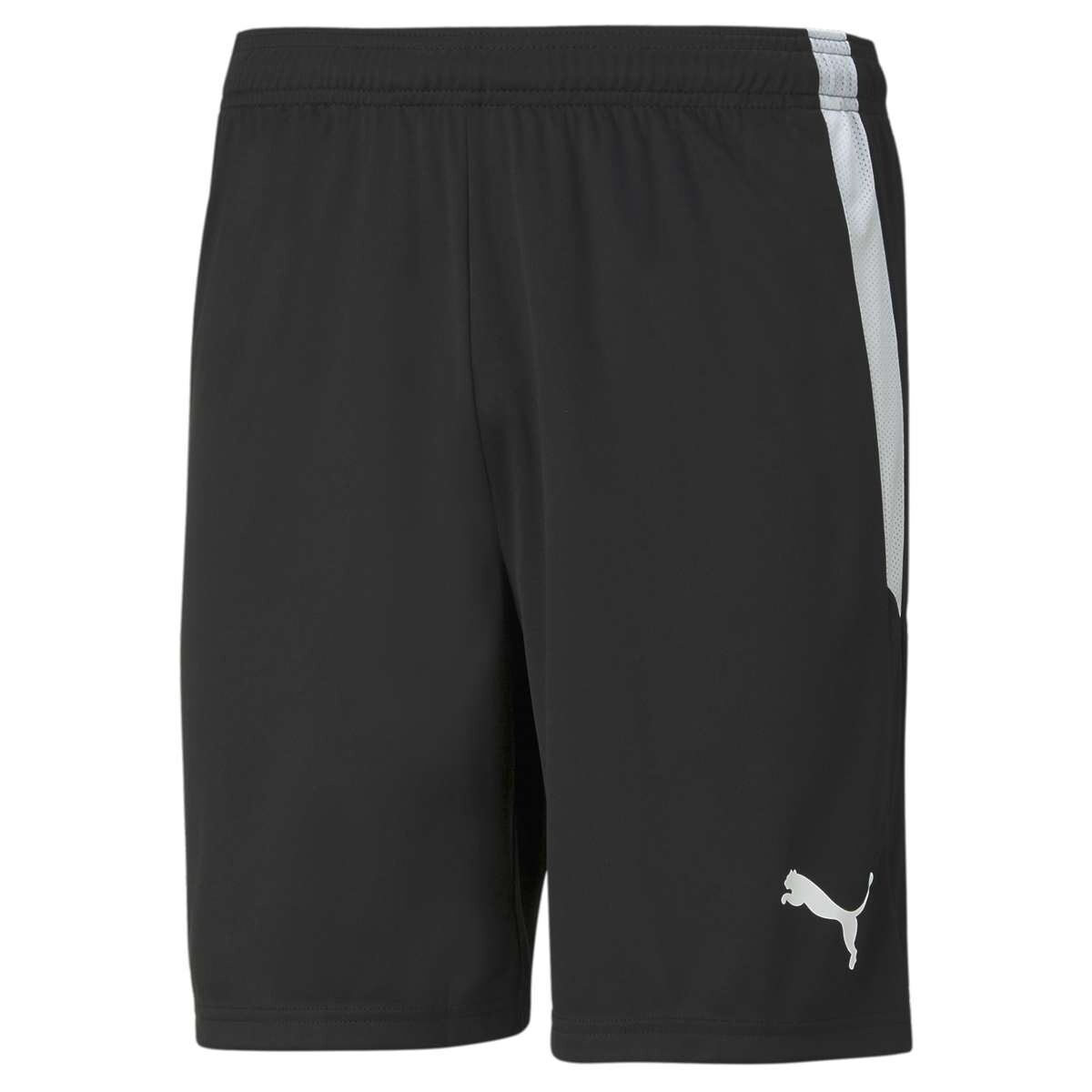 Pantalón Largo Puma Teamliga de Hombre - Negro 