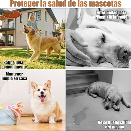 Pañal Ecológico Para Perros/gatos Incontinencia Y Celo Amarillo garden