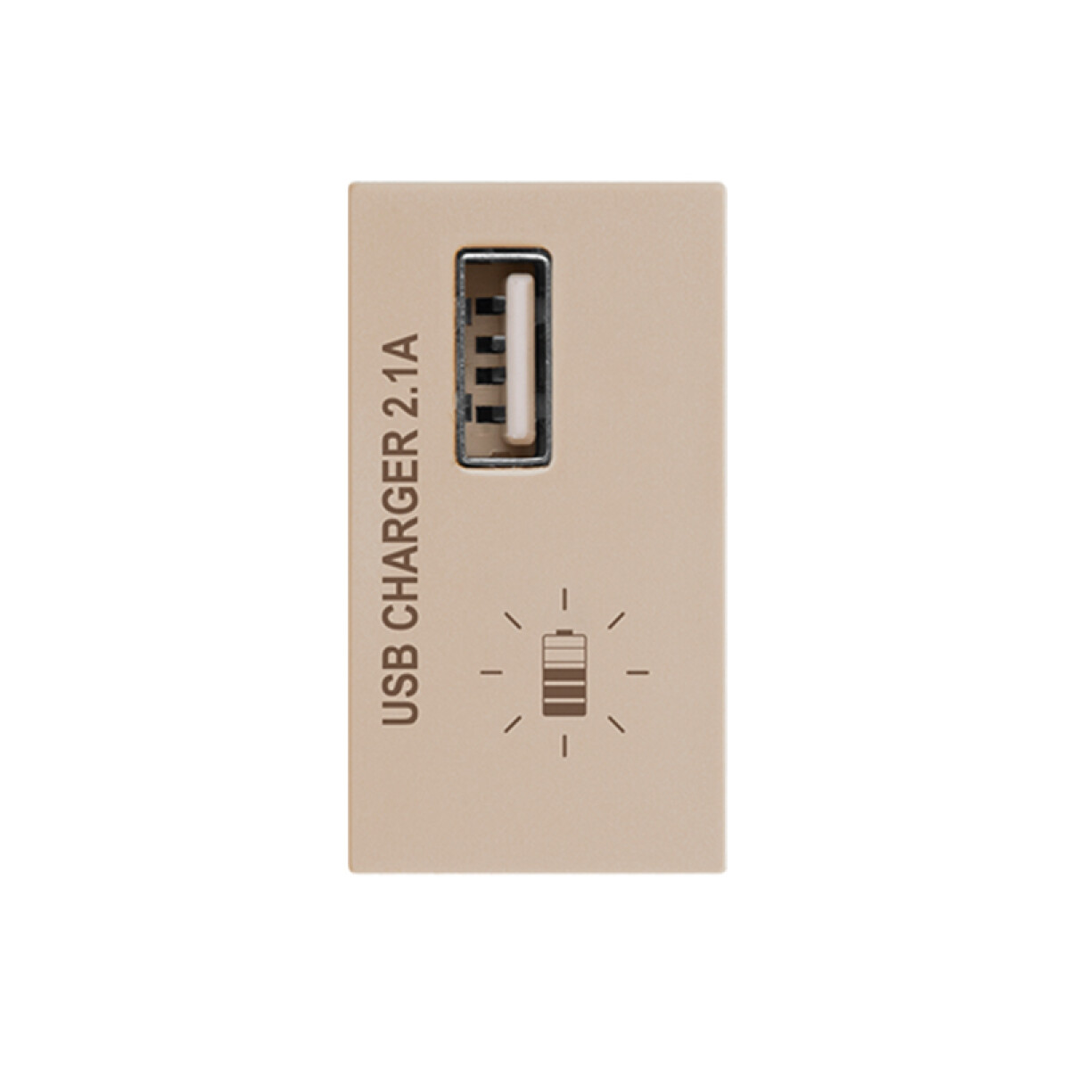 Módulo cargador USB 2,1A Ave - C55902N 