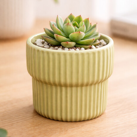 Maceta de cerámica con diseño acanalado – Colores pastel – Decoración para interiores y jardín Verde