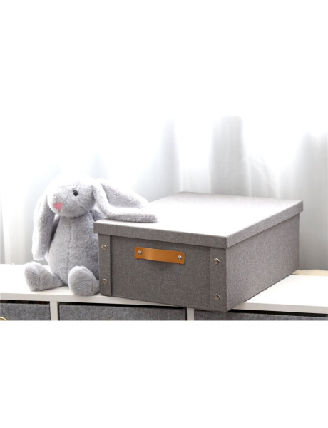 CAJA ORGANIZADOR C/ASA 33X40X17CM EXT TELA GRIS CAJA ORGANIZADOR C/ASA 33X40X17CM EXT TELA GRIS