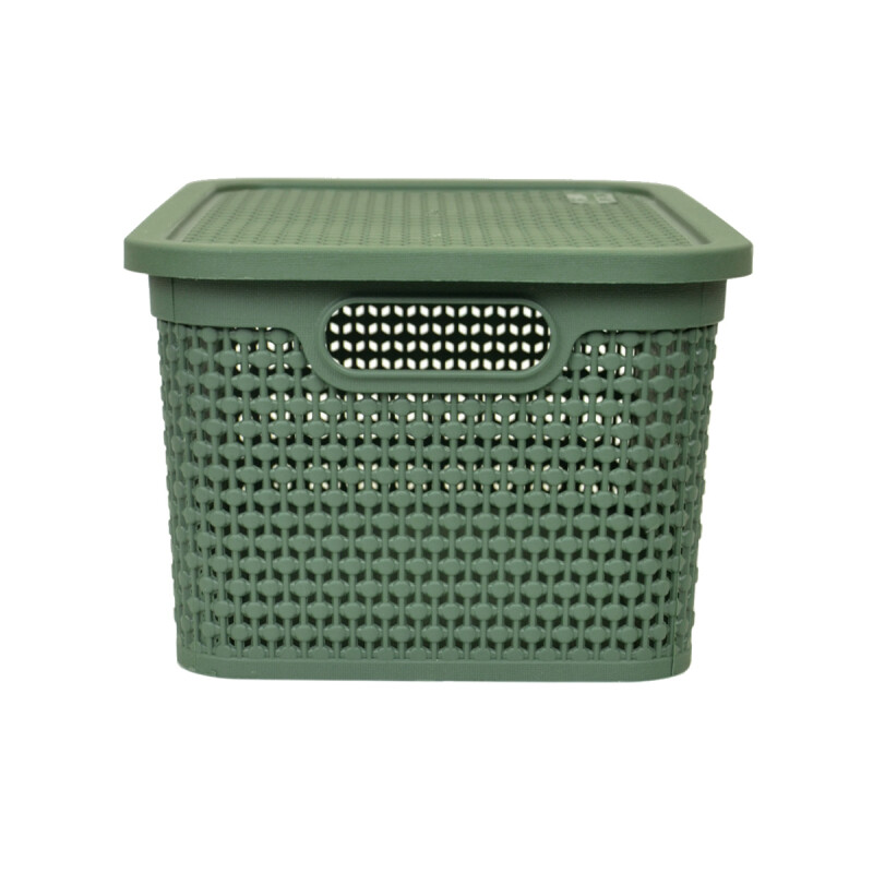Set x2 Caja simil ratán 4 lts VERDE