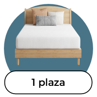 Sommier 1 Plaza