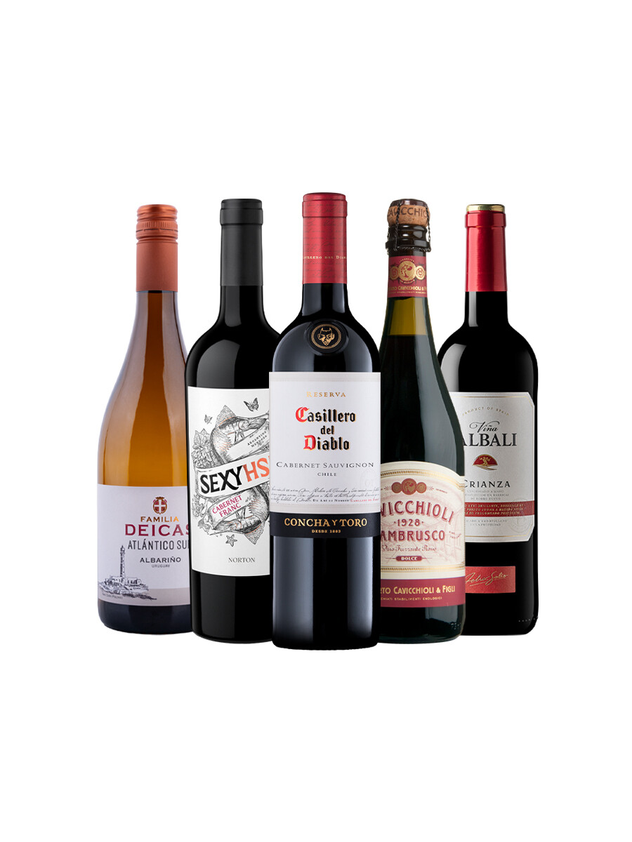 Pack Bacán Selección Mixed Mood x5 vinos Pack Bacán Selección Mixed Mood x5 vinos