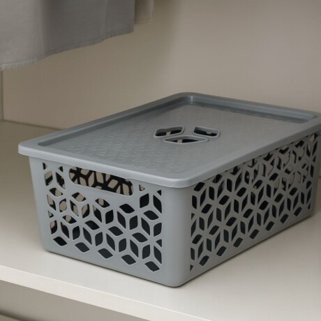 Caja organizadora con tapa G 15L GRIS