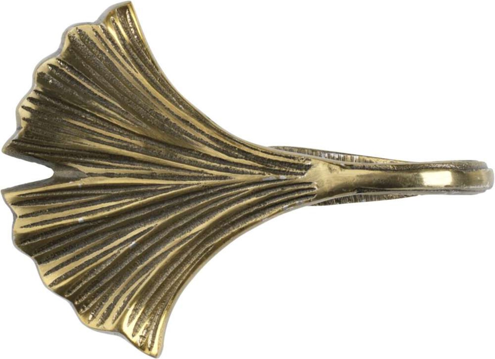 Hebilla Cortina Fjergen - Hoja Laton 
