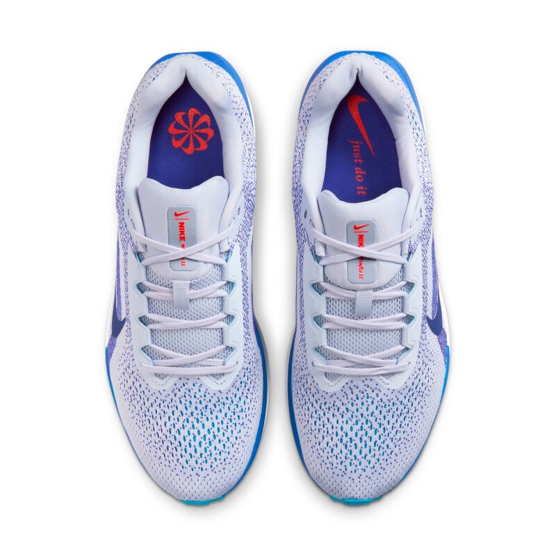 Championes Nike Winflo 11 de Hombre Gris