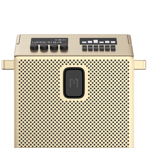 Mondo Speaker Medium - Brass Mondo Brass