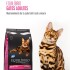 EQUILIBRIO GATOS ADULTOS 7.5 KG + 750 GRS + PIPETA + LAZER DE REGALO