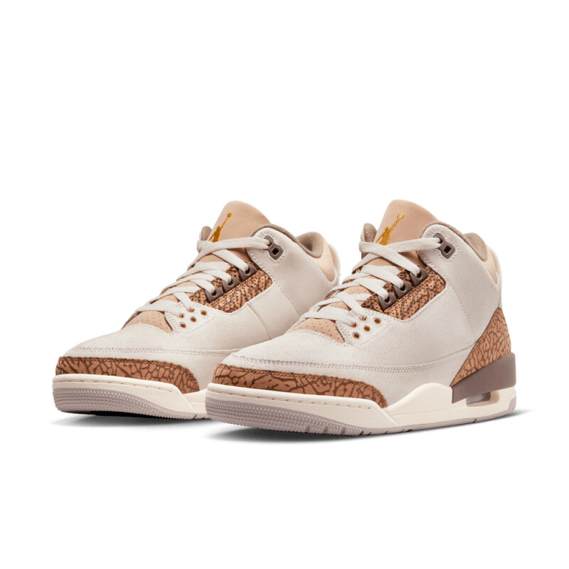 Zapatillas Air Jordan 3 Retro de Hombre Multicolor