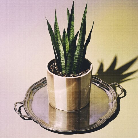 Maceta de cerámica Prisma Maceta de cerámica Prisma