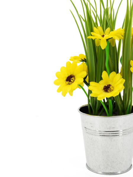 PLANTA VINTANGE HIERBA DE PRIMAVERA VERDE