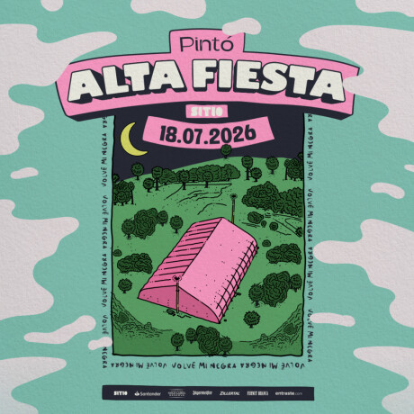 VMN - Pinto alta fiesta General