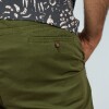 Bermuda Urban Ease Green