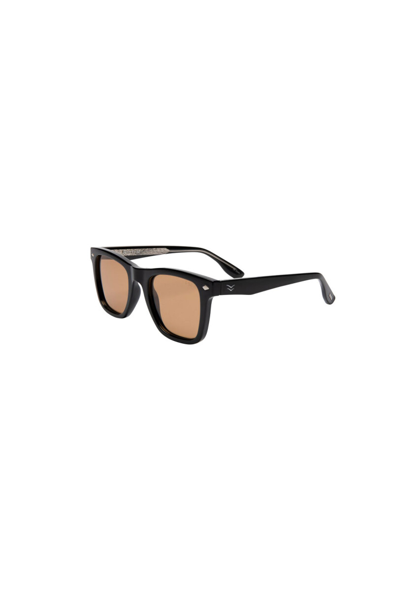 COCOA POLARIZED LENS 