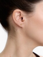 Set De Pendientes Con Circonitas - Plata De Ley 925 dorado