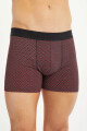 93-289 boxer alg.lyc. largo Bordeaux