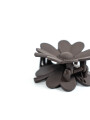 Pinza Nexi Cafe