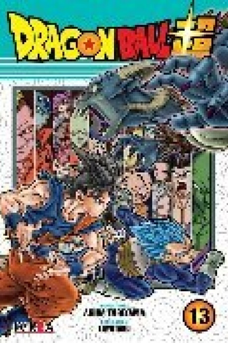 DRAGON BALL SUPER 13 DRAGON BALL SUPER 13