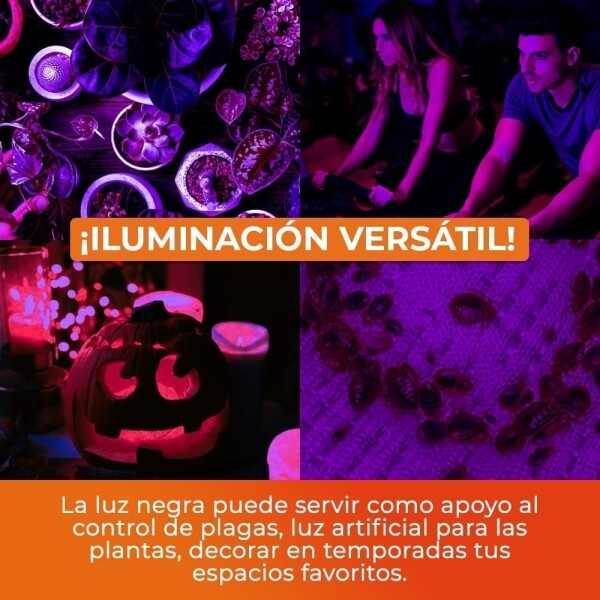 Lámpara De Tubo Luz Negra Fiesta Salón Vidriera Ultravioleta Lámpara De Tubo Luz Negra Fiesta Salón Vidriera Ultravioleta