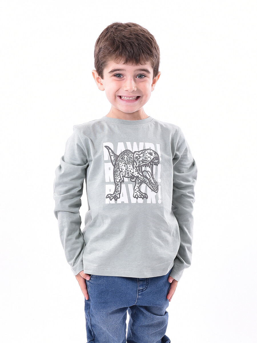 REMERA AKOS - VERDE GRISACEO 