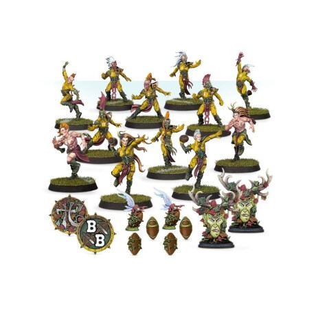 Blood Bowl Wood Elf Team - The Athelorn Avengers Blood Bowl Wood Elf Team - The Athelorn Avengers