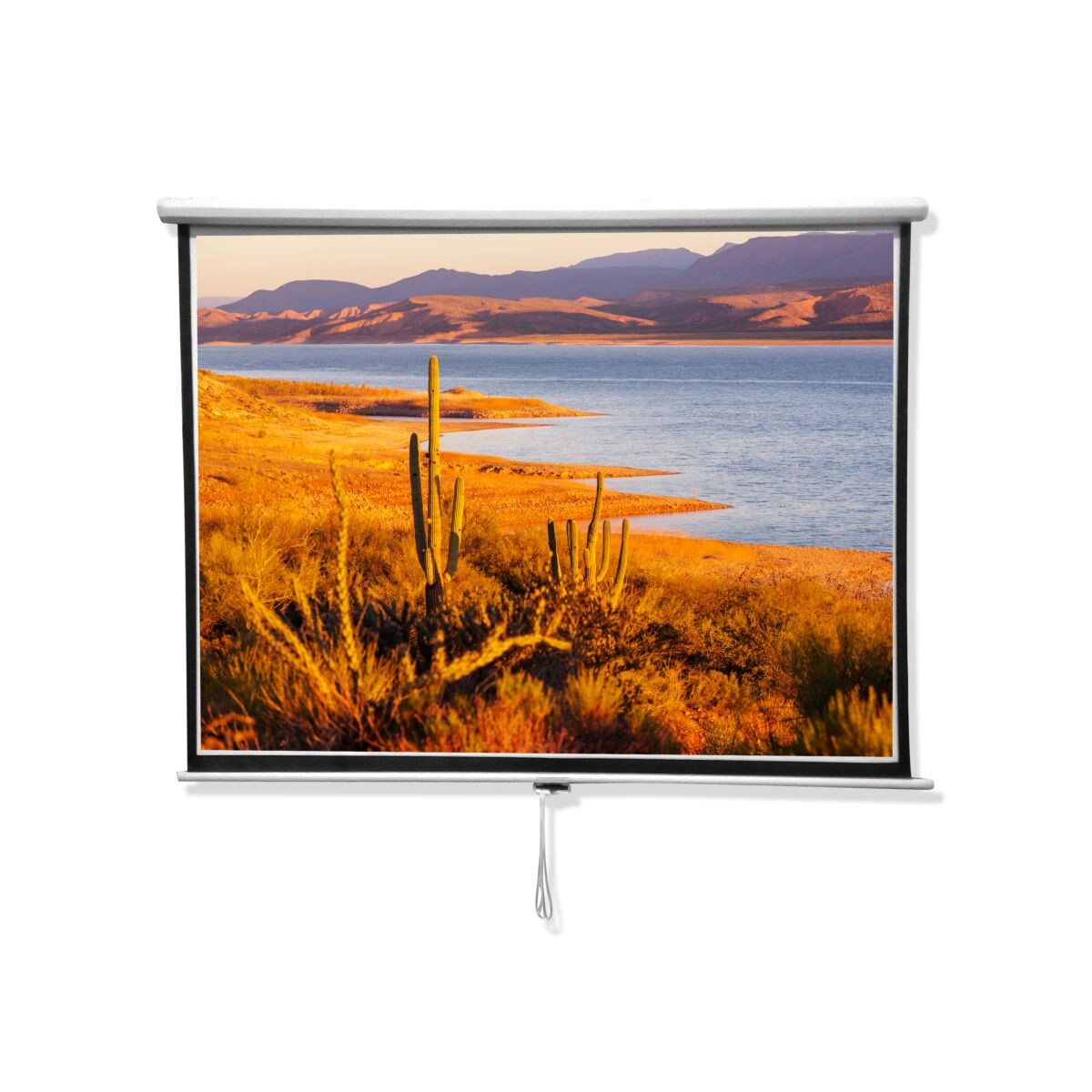Pantalla 84" para Proyector Blanco Mate 