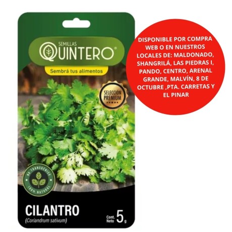 Semillas Cilantro X 5G